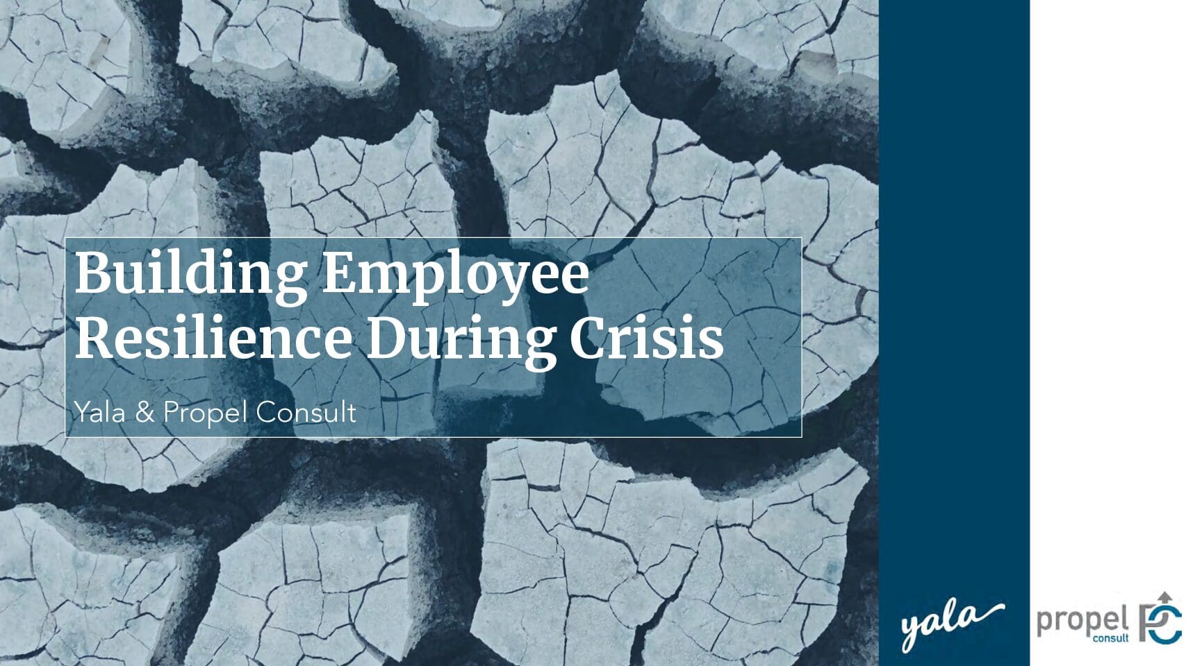Building Employee Resilience During Crisis